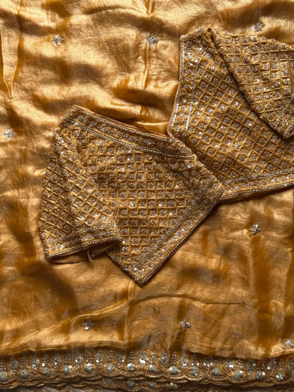 Kusha Embellished Saree