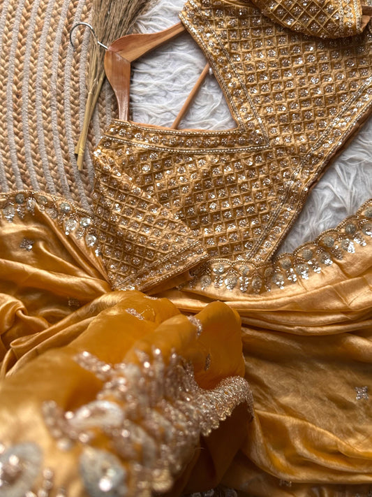 Kusha Embellished Saree